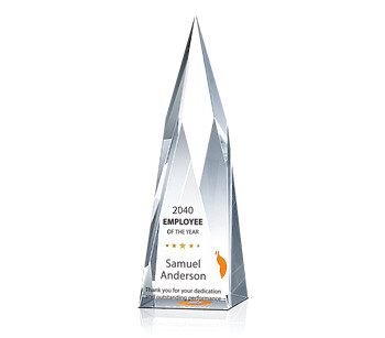Summit Employee of the Year Awards