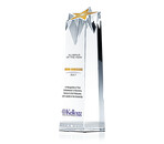 Alumni of the Year Award