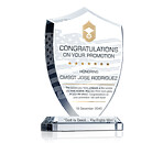Air Force Shield Plaque