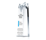 Star Volunteer Service Awards