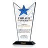 Star Employee of the Month Award