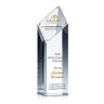 Diamond Corporate Award