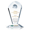 Geodesic Lifetime Achievement Award