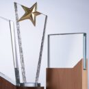 Three crystal plaques in different shapes and sizes are on a table. The middle plaque has a gold star on top.
